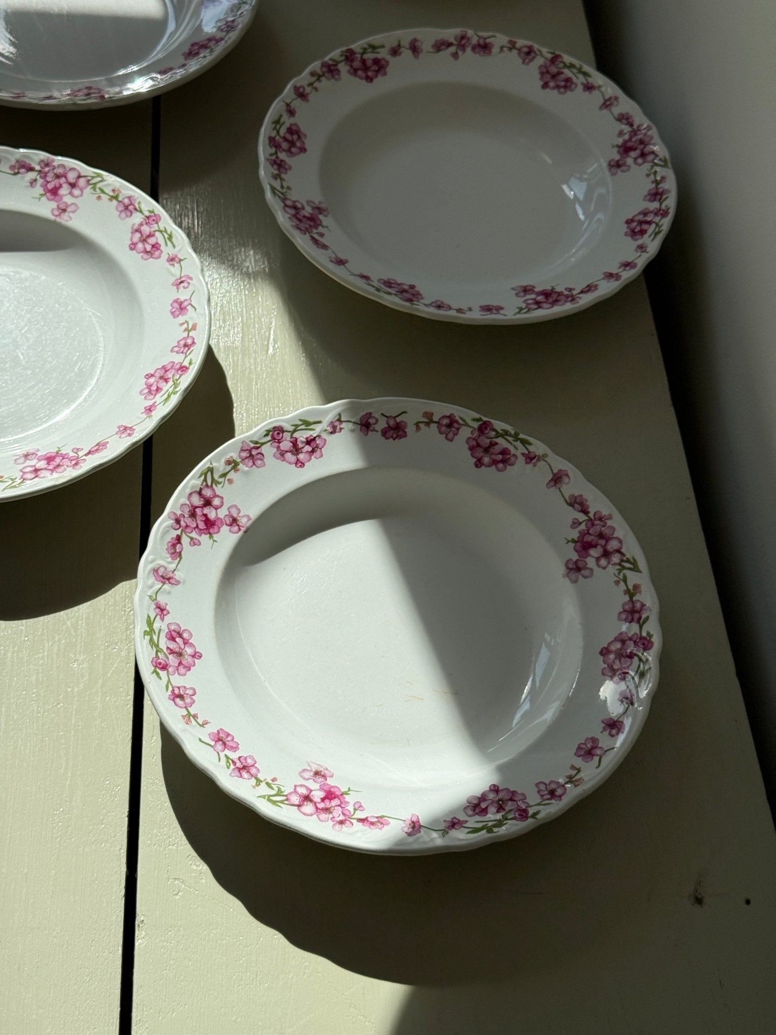Pink floral pasta plates (6 pcs) - NEROLI