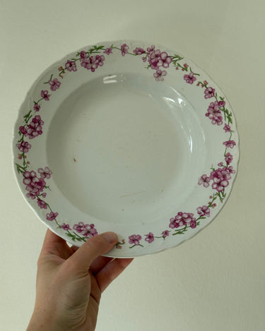 Pink floral pasta plates (6 pcs) - NEROLI