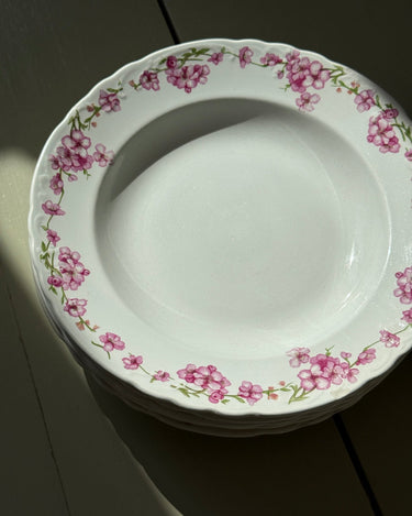 Pink floral pasta plates (6 pcs) - NEROLI