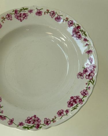 Pink floral pasta plates (6 pcs) - NEROLI