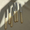 Raadvad knives (6 pcs) - NEROLI