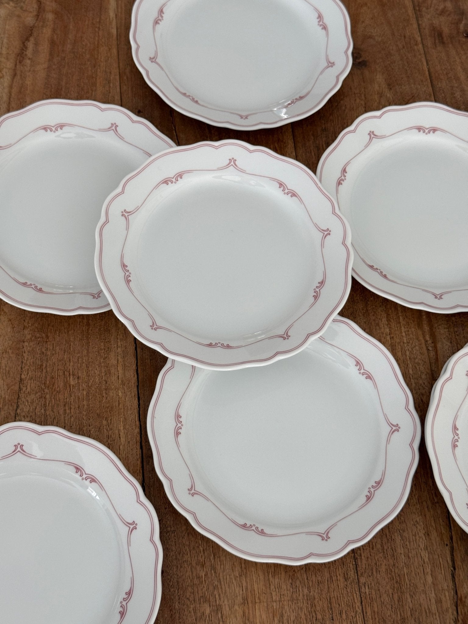 Red rim lunch plates (8 pcs) - NEROLI