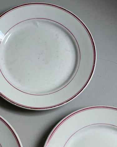 Richard Ginori dinner plates (9 pcs) - NEROLI