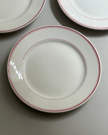Richard Ginori dinner plates (9 pcs) - NEROLI