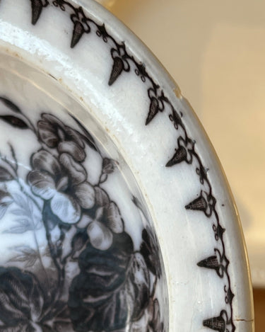 Sarreguemines wall bowl - NEROLI