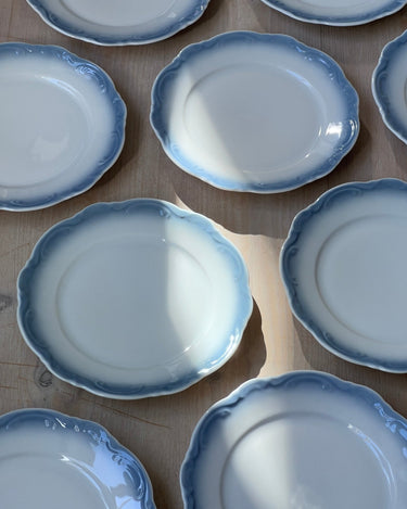 Scalloped side plates (12 pcs) - NEROLI