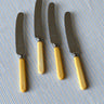 Set of 4 Sheffield knives - NEROLI