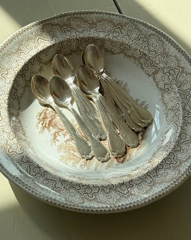 Silver plated tea spoons (12 pcs) - NEROLI