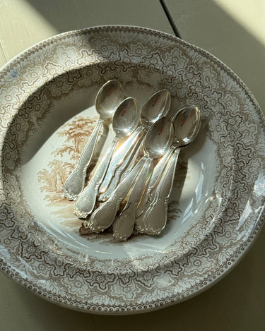 Silver plated tea spoons (12 pcs) - NEROLI