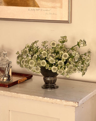 Silver plated vase - NEROLI