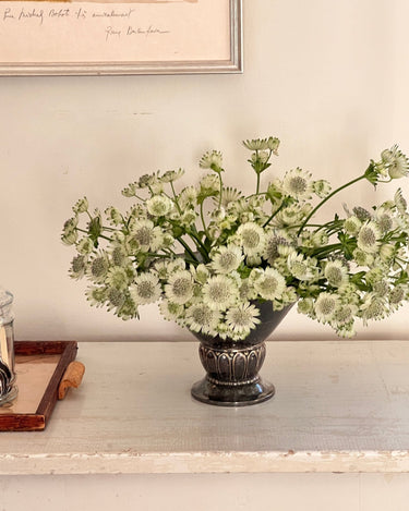 Silver plated vase - NEROLI