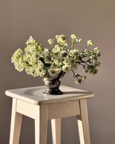 Silver plated vase - NEROLI