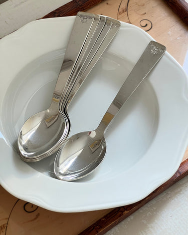 Stainless steel spoons (6 pcs) - NEROLI