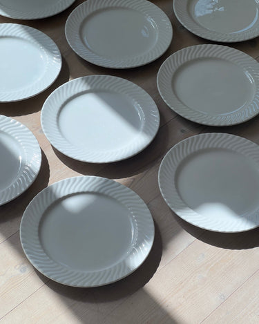 Swirl dinner plates (12 pcs) - NEROLI