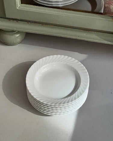 Swirl pasta plates (20 pcs) - NEROLI