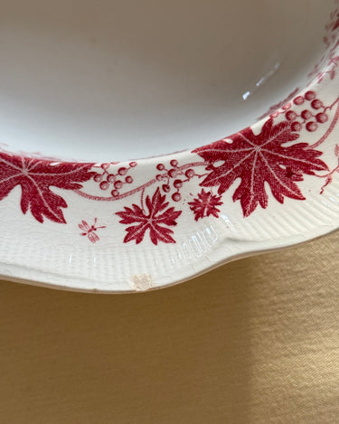 Vinranka bowl - NEROLI