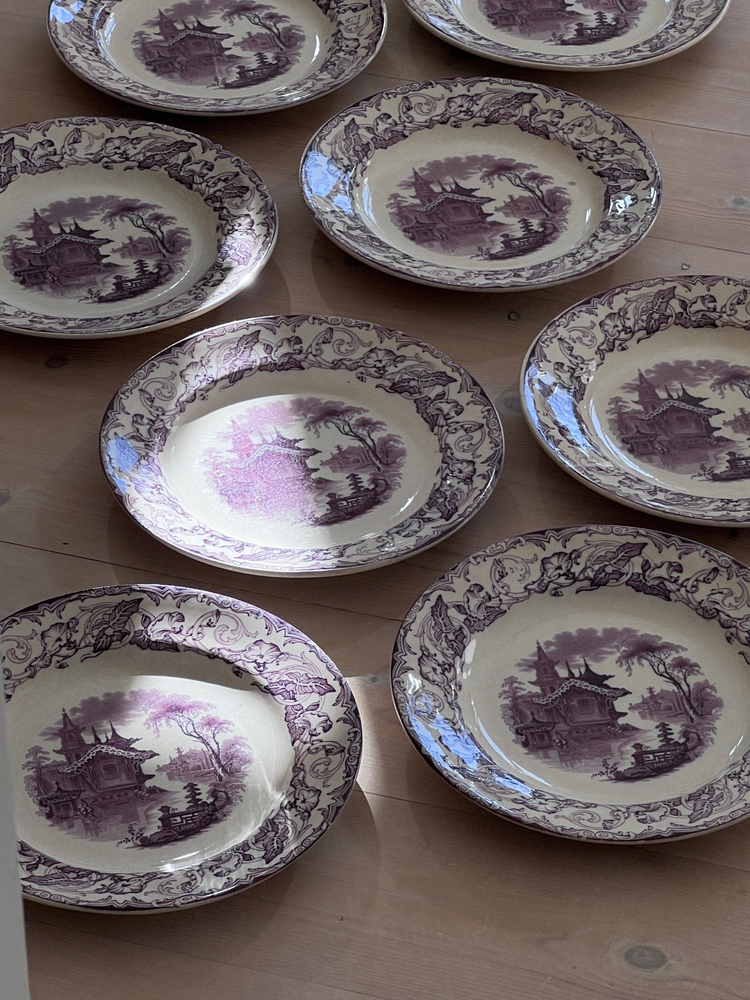 Violet dinner plates (8 pcs) - NEROLI