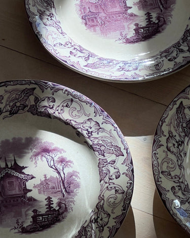 Violet dinner plates (8 pcs) - NEROLI