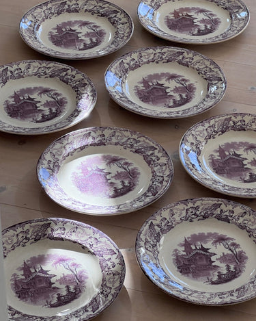 Violet dinner plates (8 pcs) - NEROLI