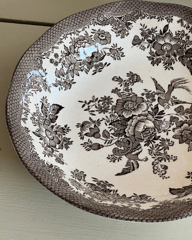 Wedgwood breakfast bowls (5 pcs) - NEROLI