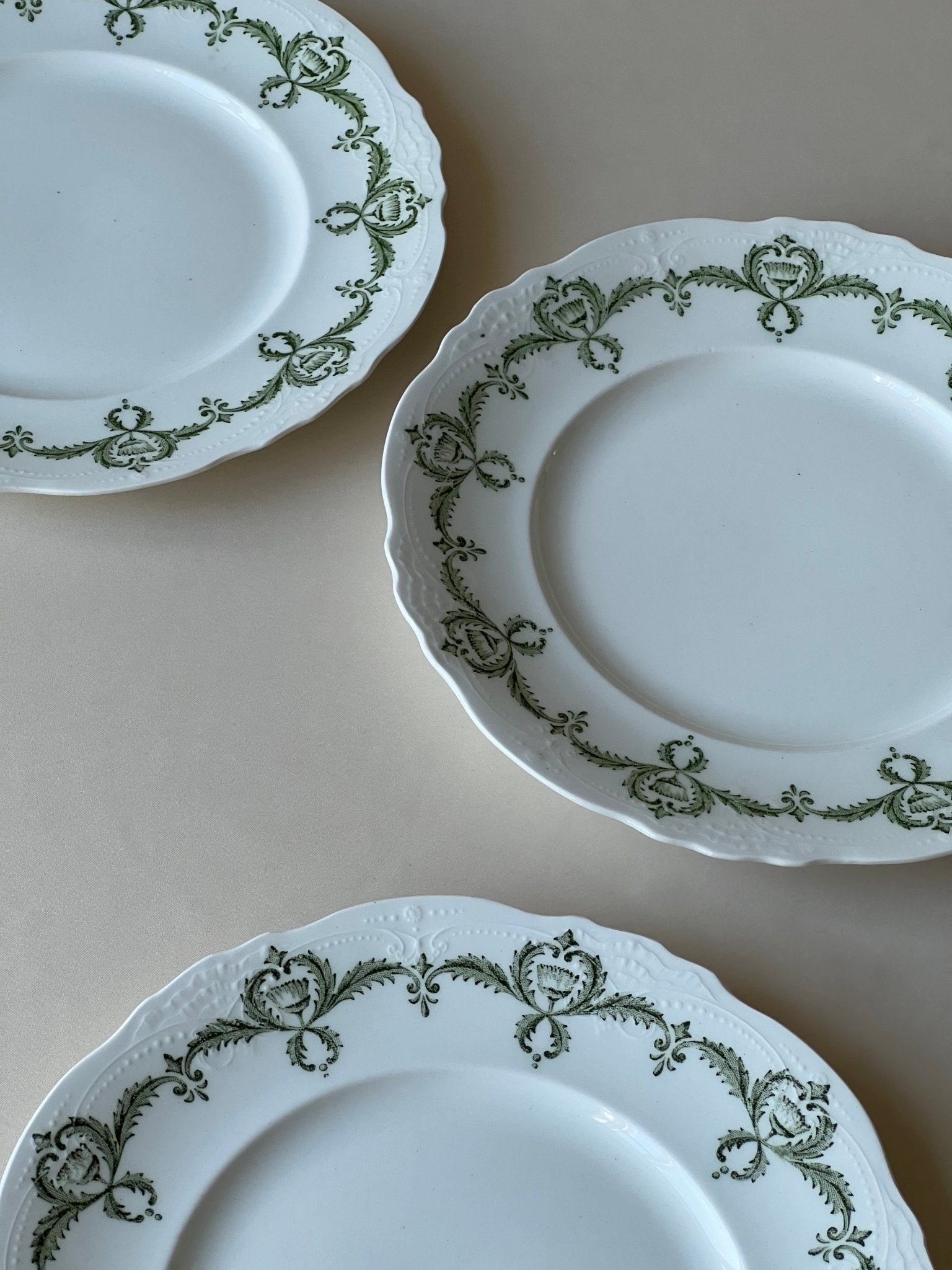 Wedgwood dinner plates (3 pcs) - NEROLI