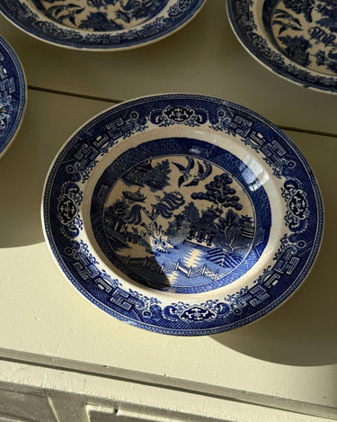 Willow pasta plates (6 pcs) - NEROLI