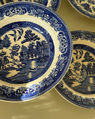 Willow pasta plates (6 pcs) - NEROLI