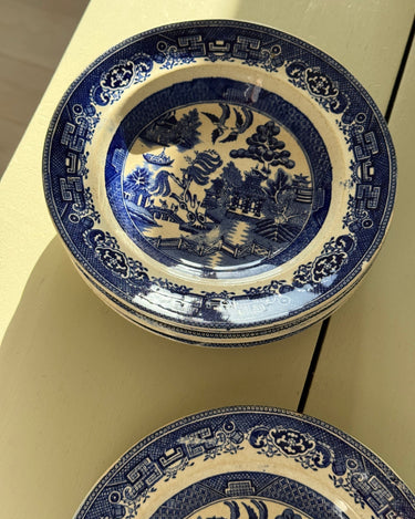 Willow pasta plates (6 pcs) - NEROLI