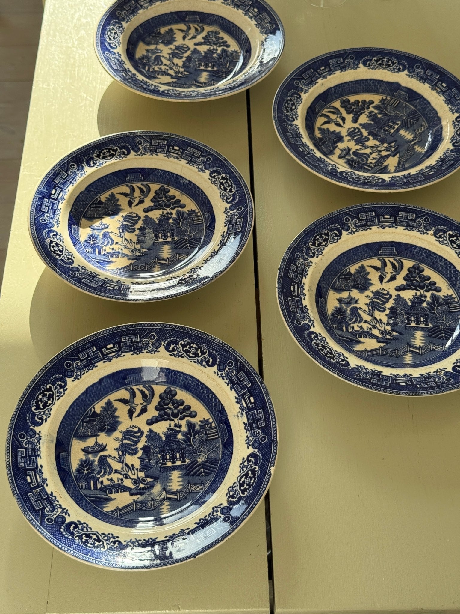 Willow pasta plates (6 pcs) - NEROLI