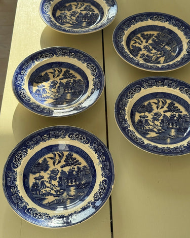 Willow pasta plates (6 pcs) - NEROLI