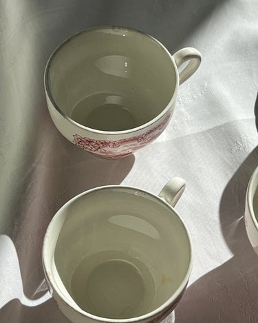 English cups and saucers - NEROLI